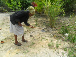 Judite Simoa: Um retrato das mulheres que resistem aos empreendimentos do capital no campo