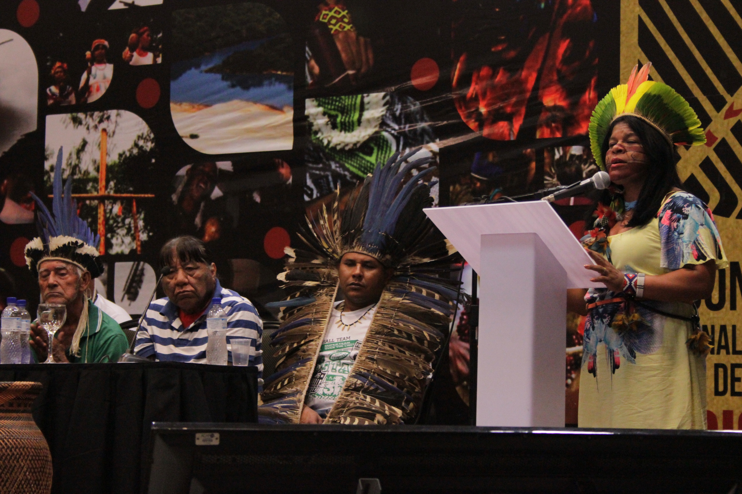 A Criação do Conselho Nacional de Política Indigenista e os desafios a serem enfrentados