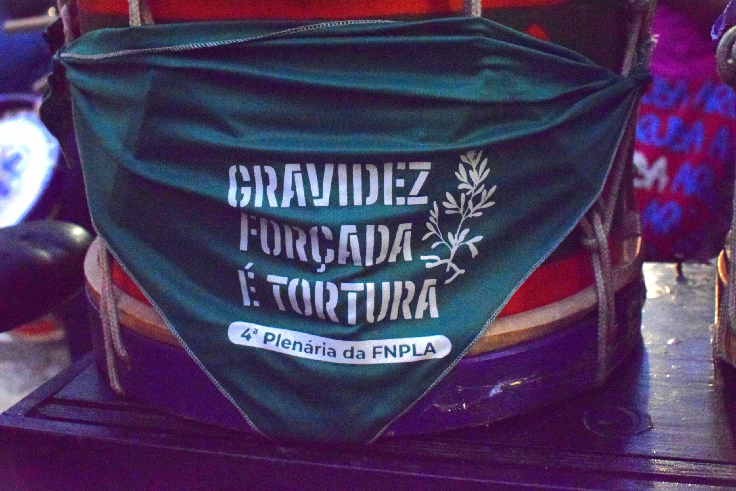 Resolução nº 258 do CONANDA e o enfrentamento ao aumento de partos de crianças no Brasil