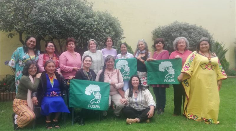 [FOSPA] Por nuestras vidas, nossos territórios, nuestros cuerpos, nuestros derechos frente al Covid 19