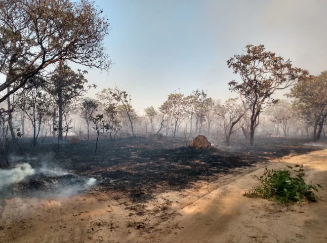Em nota, organizações denunciam perseguição de ONG e na prisão de Brigadistas de Alter do Chão