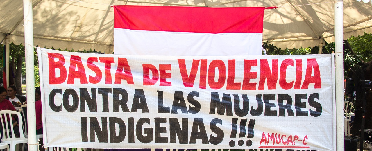 Paraguay: Empresa aplicó medicamentos para animales a indígenas