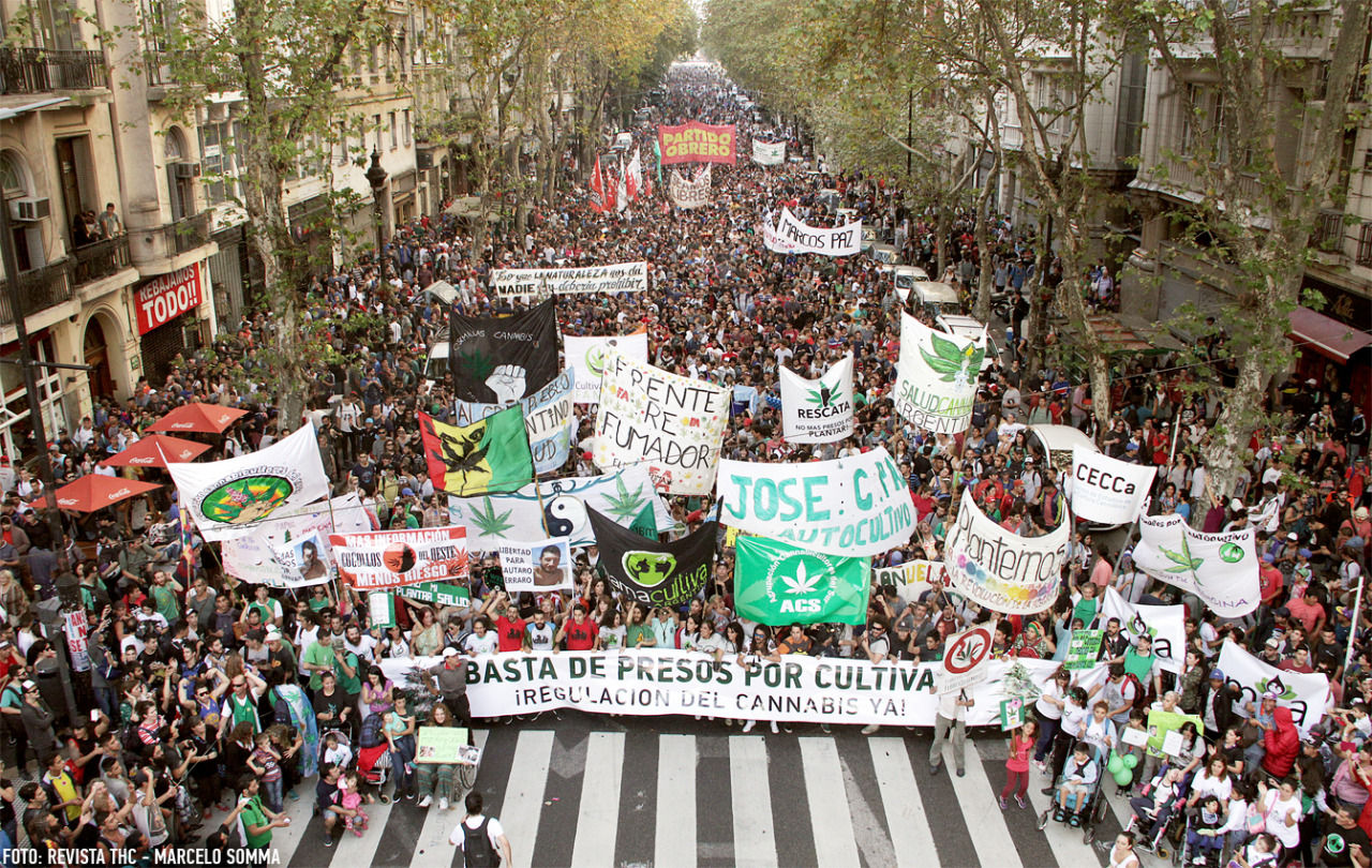 O mundo em marcha pela legalização das drogas