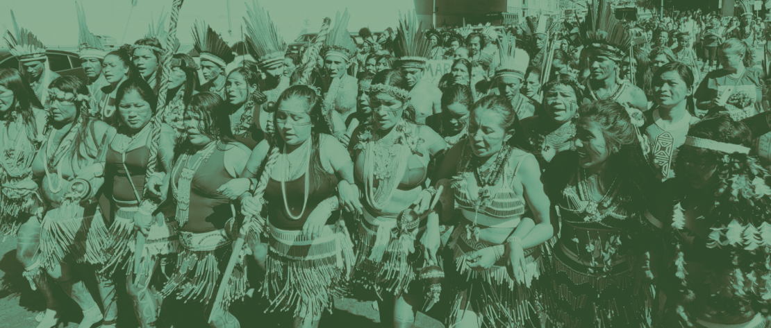 MANIFESTO – A RAIZ DO BRASIL É INDÍGENA