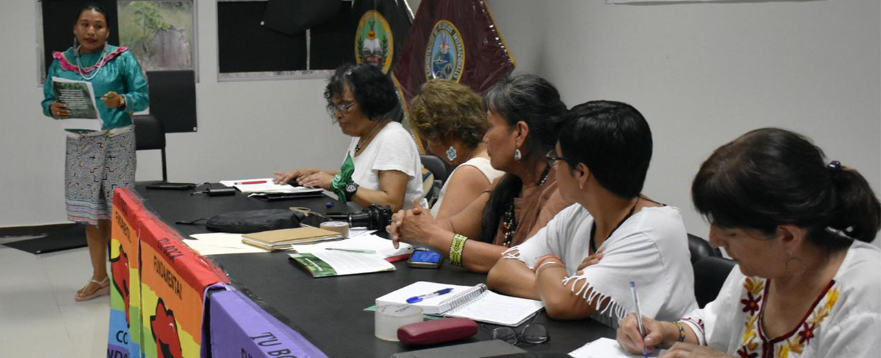 Perú defiende la Amazonía