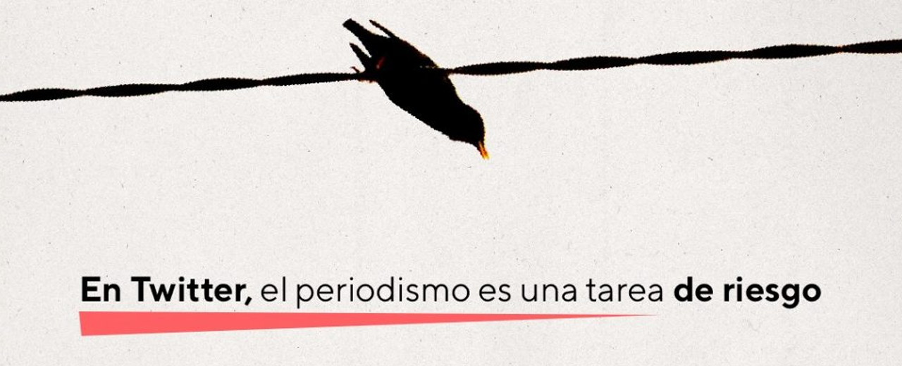 #SerPeriodistaEnTwitter: Violencia de género digital en América Latina