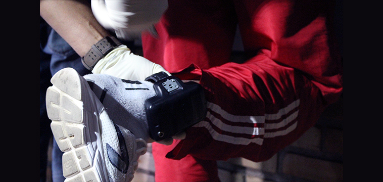 Liberdade não tem preço