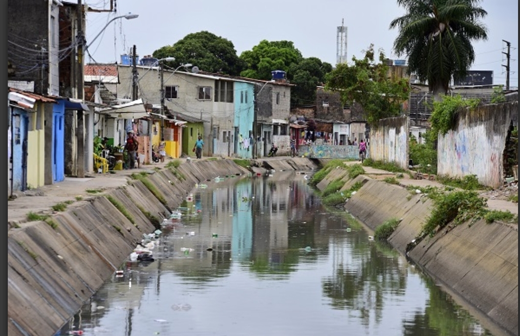 Visibilizar o real: os desafios das Redes de Solidariedade