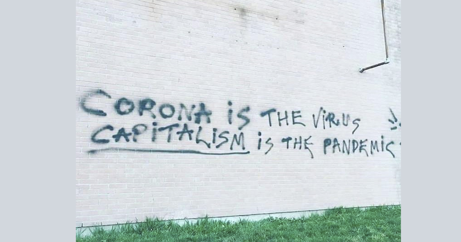 Capital, pandemia e os papéis do feminismo