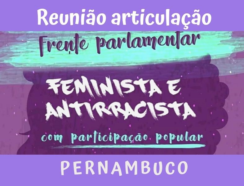 Reunião de articulação da Frente Parlamentar Antirracista com Participação Popular em Pernambuco