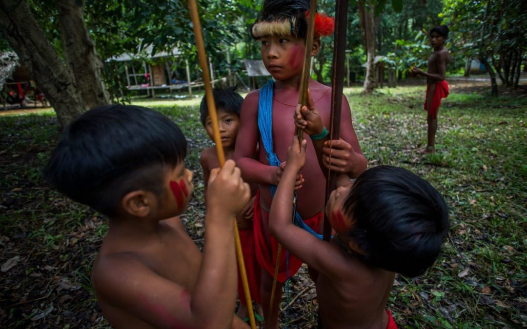 Nota da COIAB contra os ataques ao povo Waiãpi